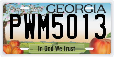 GA license plate PWM5013