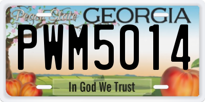 GA license plate PWM5014