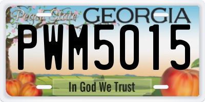 GA license plate PWM5015