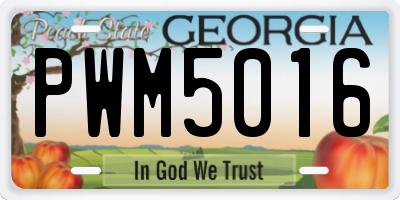 GA license plate PWM5016