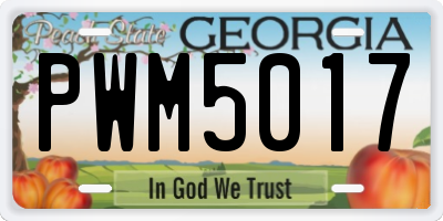 GA license plate PWM5017