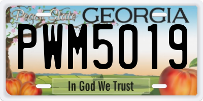 GA license plate PWM5019