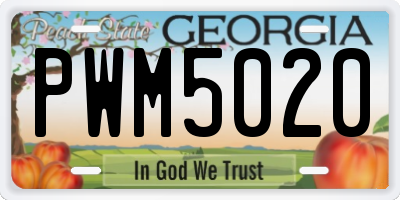 GA license plate PWM5020