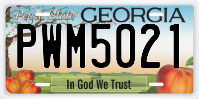 GA license plate PWM5021