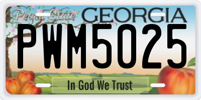 GA license plate PWM5025