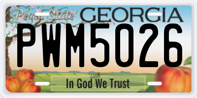 GA license plate PWM5026