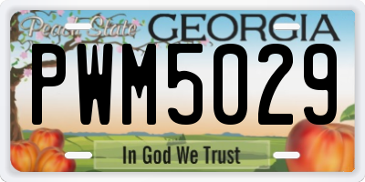 GA license plate PWM5029