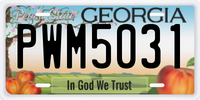 GA license plate PWM5031