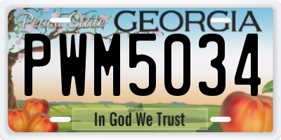 GA license plate PWM5034