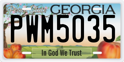 GA license plate PWM5035