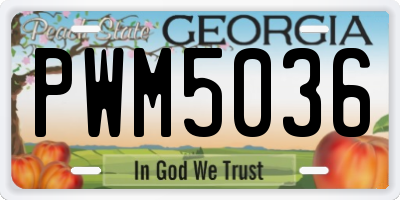 GA license plate PWM5036