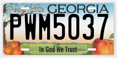 GA license plate PWM5037