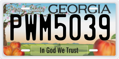 GA license plate PWM5039