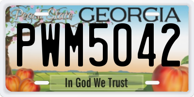 GA license plate PWM5042