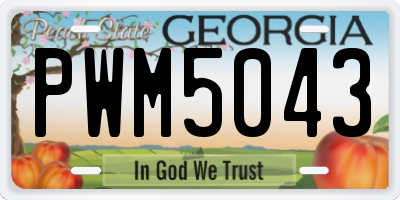 GA license plate PWM5043