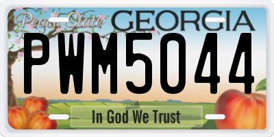 GA license plate PWM5044
