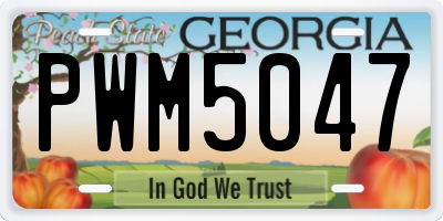 GA license plate PWM5047