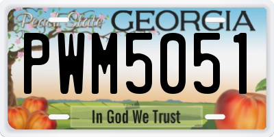 GA license plate PWM5051