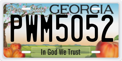 GA license plate PWM5052
