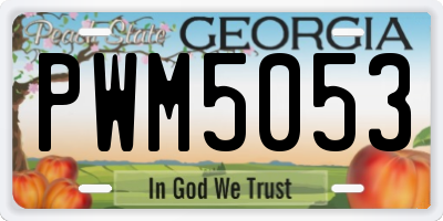 GA license plate PWM5053