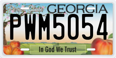 GA license plate PWM5054