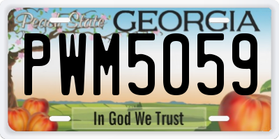 GA license plate PWM5059