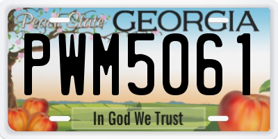 GA license plate PWM5061