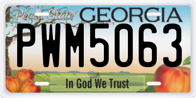 GA license plate PWM5063
