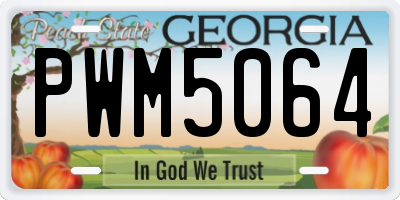 GA license plate PWM5064
