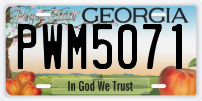 GA license plate PWM5071