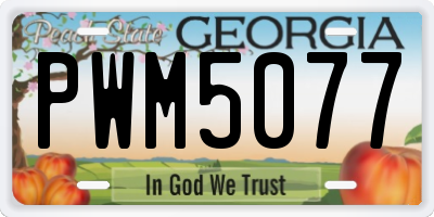 GA license plate PWM5077