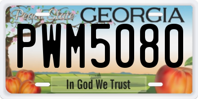 GA license plate PWM5080