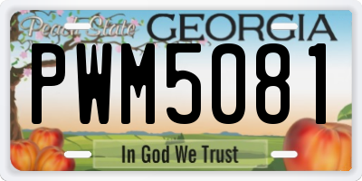GA license plate PWM5081
