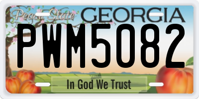 GA license plate PWM5082