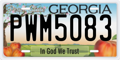 GA license plate PWM5083