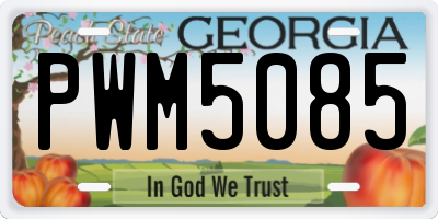 GA license plate PWM5085