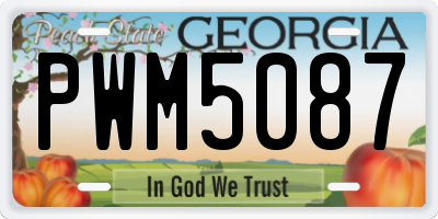 GA license plate PWM5087