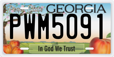GA license plate PWM5091