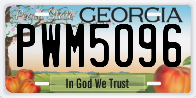 GA license plate PWM5096