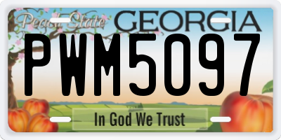 GA license plate PWM5097