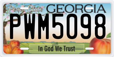 GA license plate PWM5098
