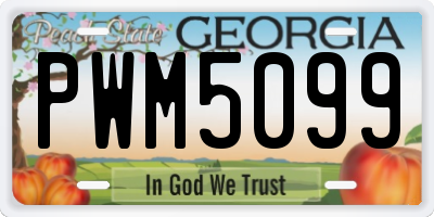 GA license plate PWM5099