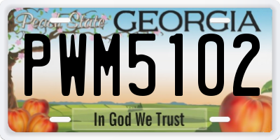 GA license plate PWM5102
