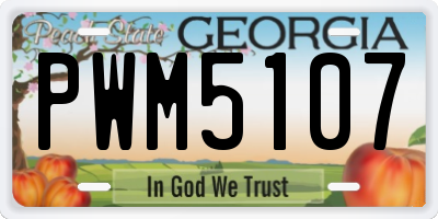 GA license plate PWM5107