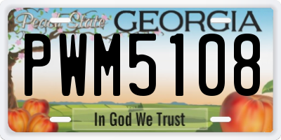 GA license plate PWM5108