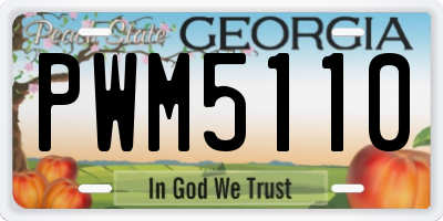GA license plate PWM5110