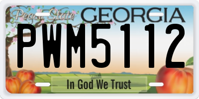 GA license plate PWM5112