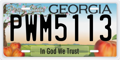 GA license plate PWM5113