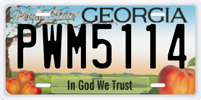 GA license plate PWM5114