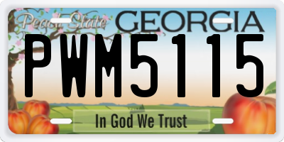 GA license plate PWM5115